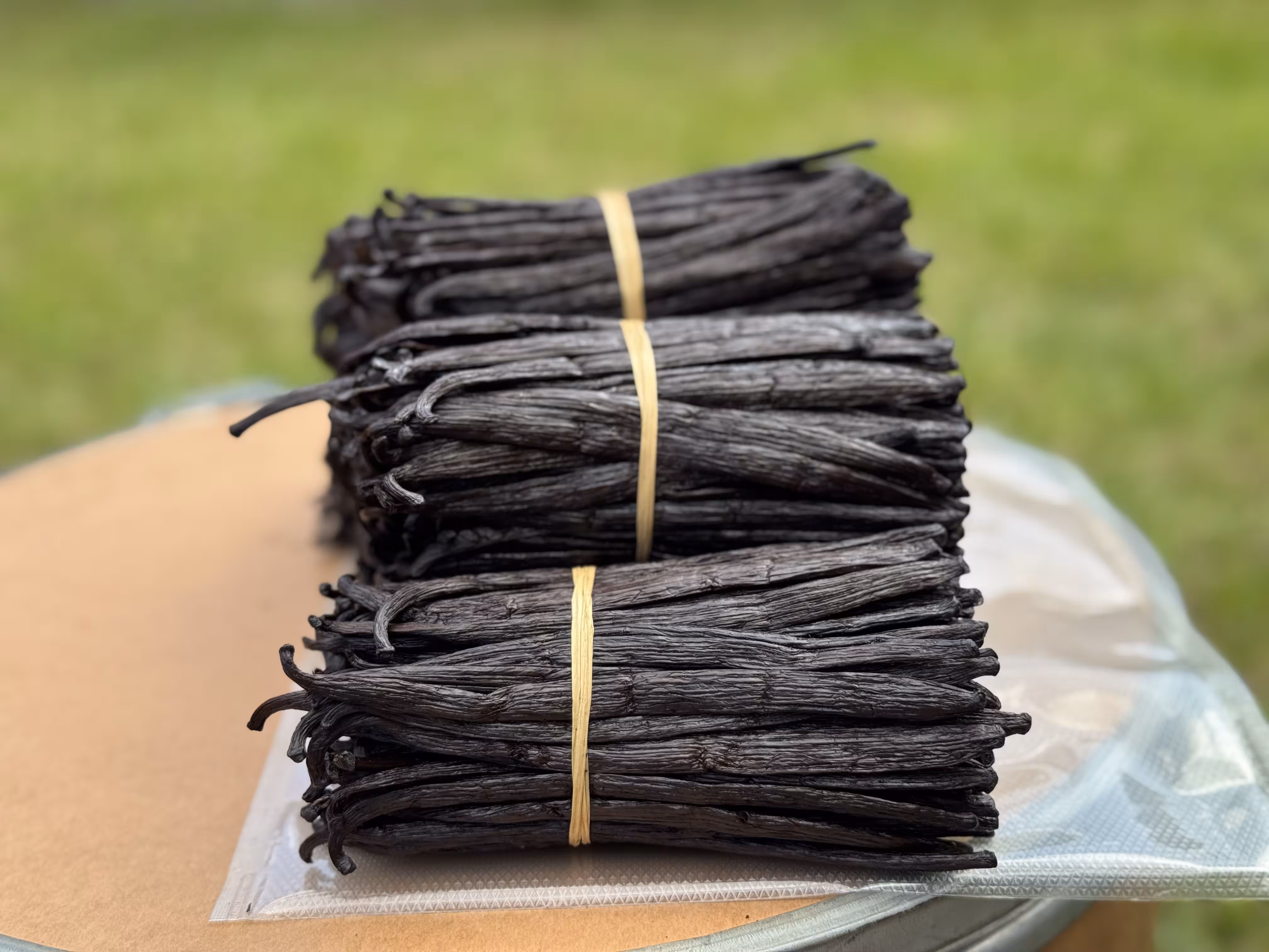 Grade A Ugandan vanilla beans