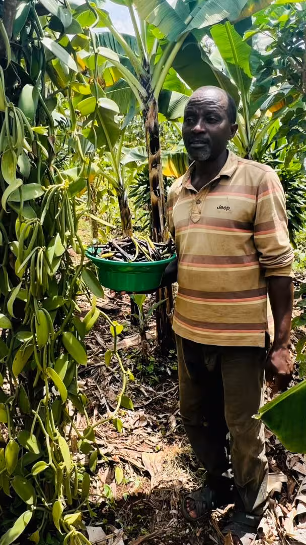 Why Ugandan Vanilla is the Best in the World